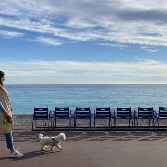 5 activities to do in Nice in Winter